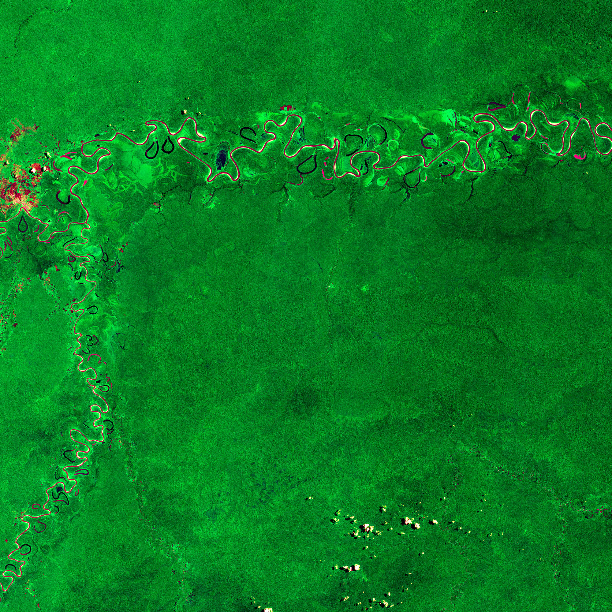 Enhanced infrared Sentinel-2 image of the Juruá and Tarauacá river landscape in Amazonas, Brazil.