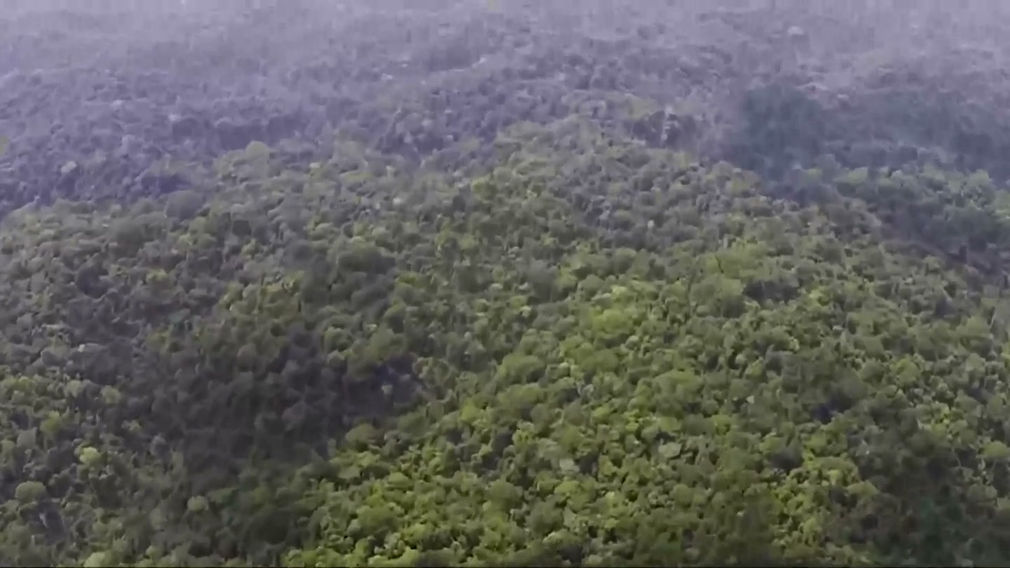 Aerial canopy of the Brazilian Amazon from a NASA documentary.
